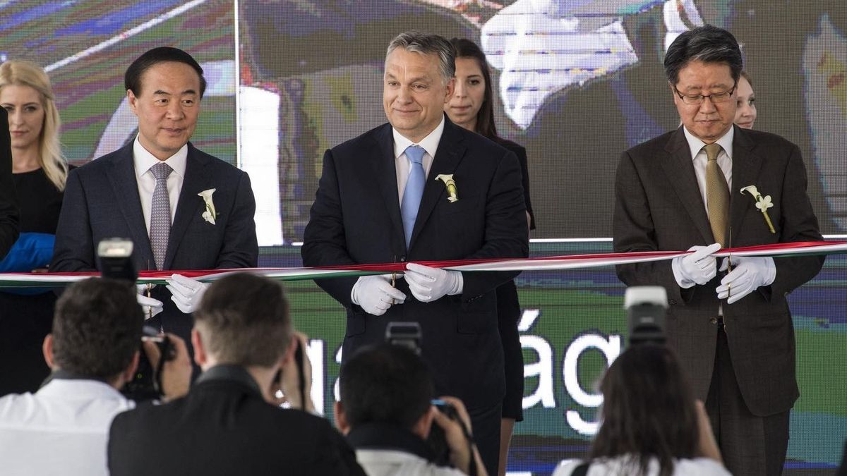 Milyen a világ, amikor a tőke korlátlan hatalmat kap?