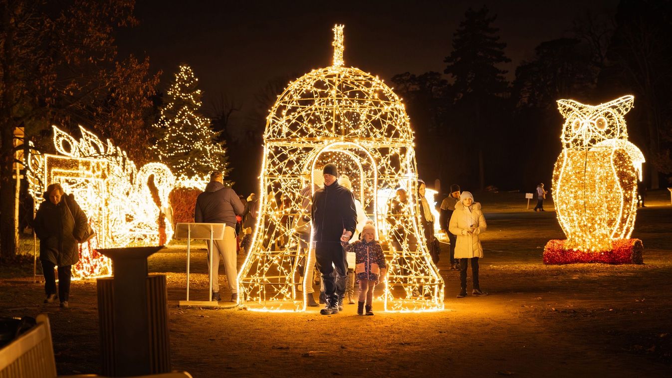 Tizenkét kilométer fény