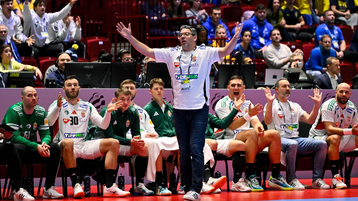 Bebizonyosodott: hibáztak a német játékvezetők a svédek ellen – óvhatott volna a magyar válogatott