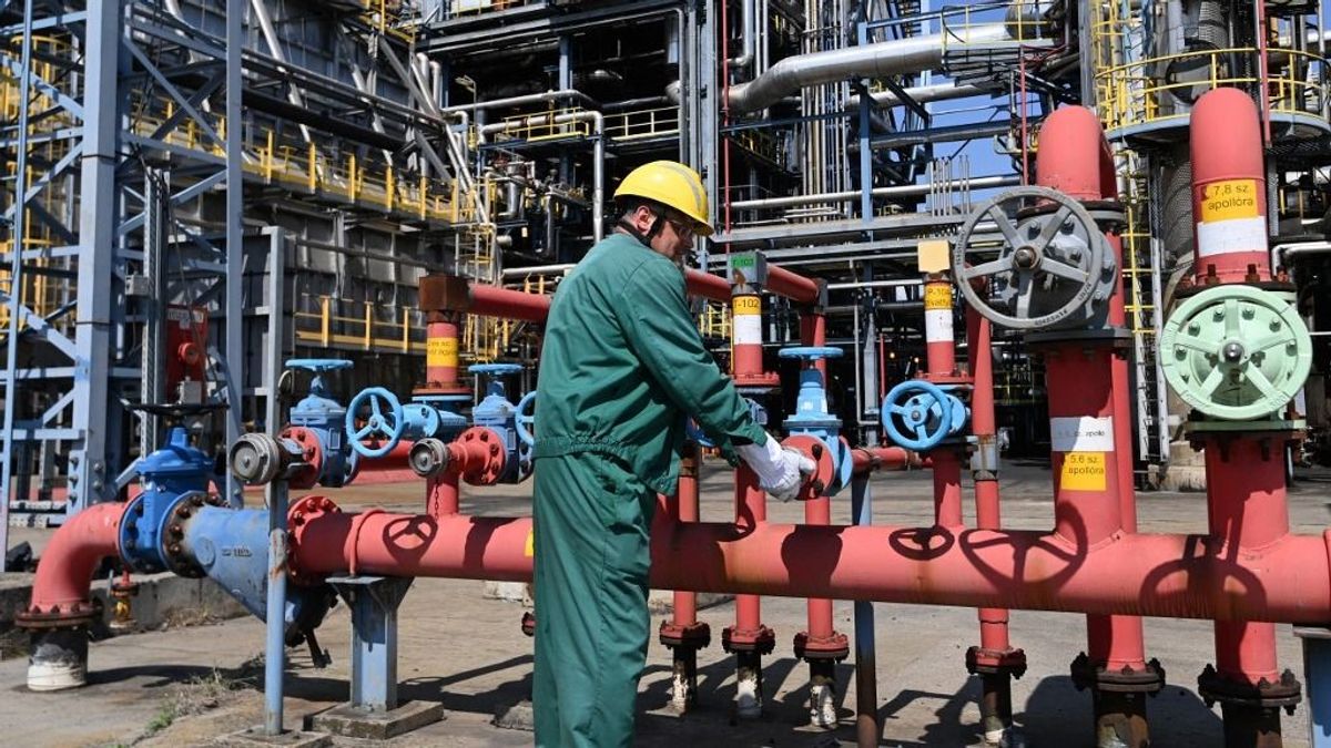 Magyarország iparági kulcsszereplővé vált: Ukrajna örülhet legjobban hazánk sikerének