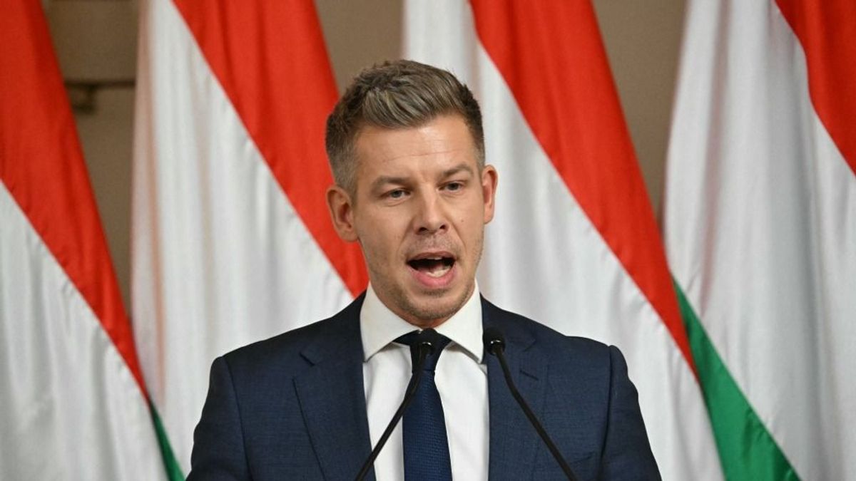 Rezsicsökkentés: Magyar Péter egyszerűen nem tudja, mit beszél