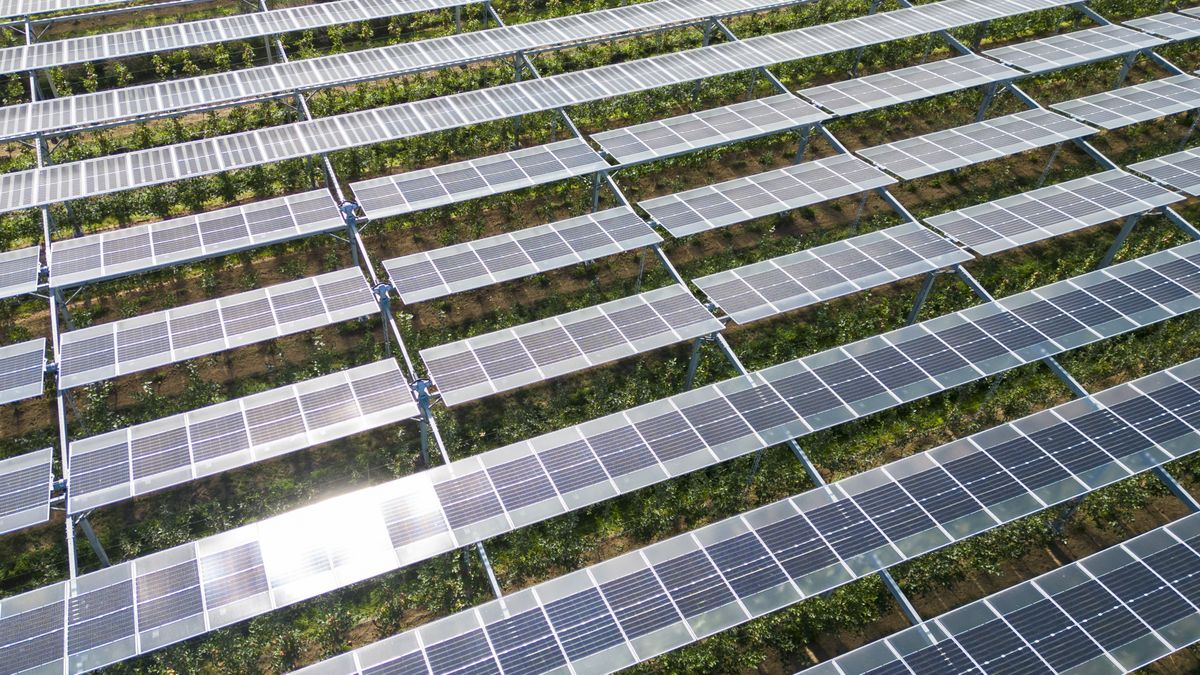 Aggasztó rekordot döntött Magyarország – és már azt is tudjuk, mi jön ezután