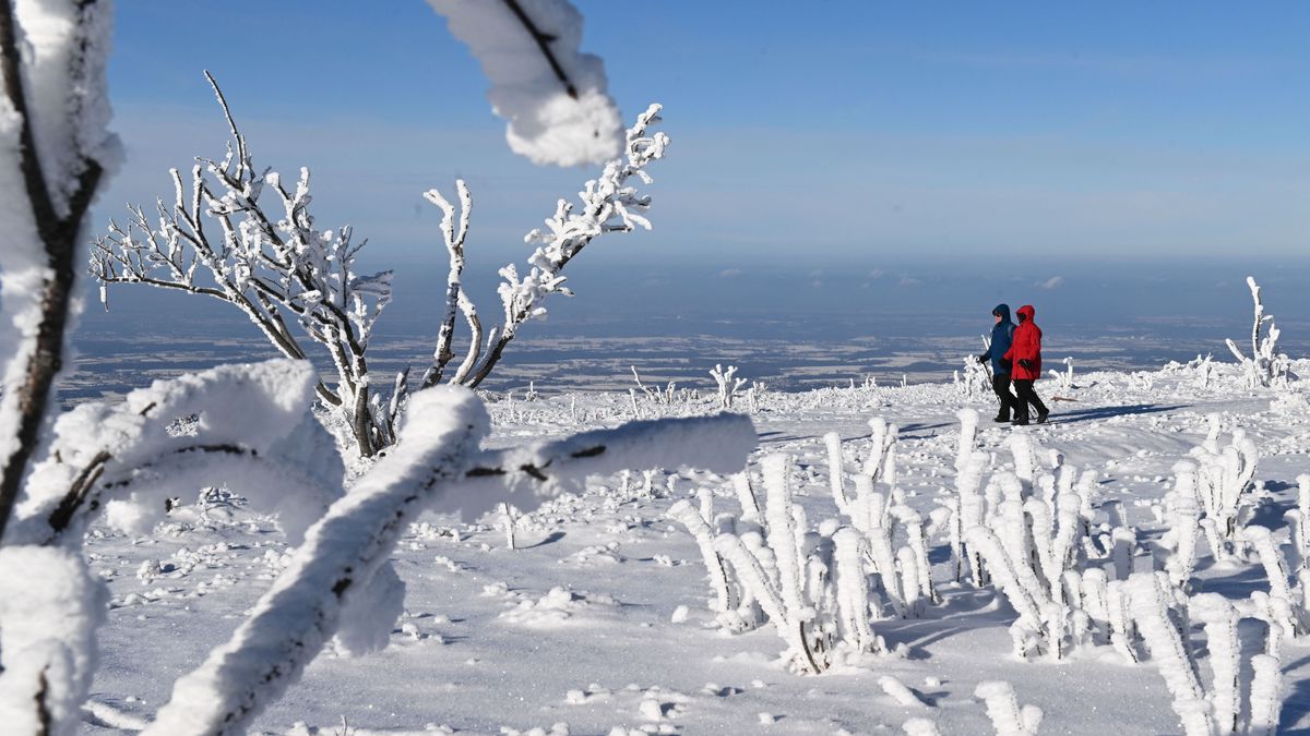 Mínusz 20 fok is lehet! Szibériai hideg csap le Magyarországra, riasztást adtak ki több vármegyére