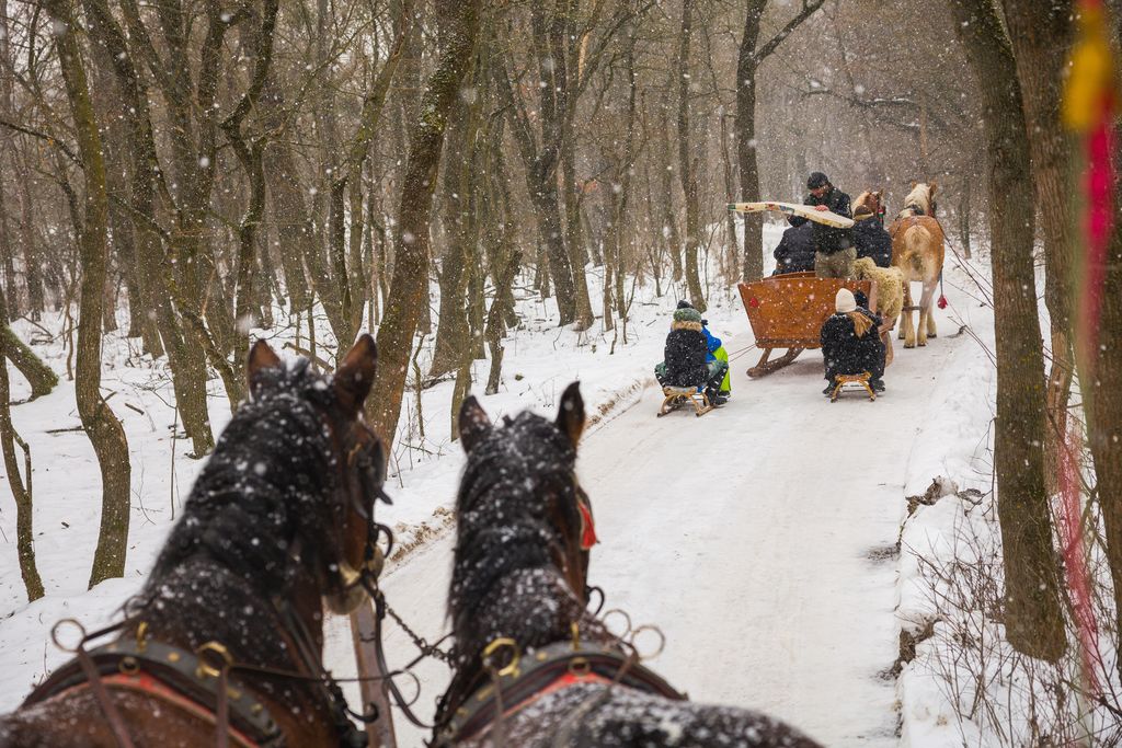 20260123 Csákvár
Hószánozás
Csákvári Lovasbarátok Köre Egyesület
gyerekek szánkóznak téli havas szórakozás havazás hó természet
Fotó: Németh András Péter NAP
MW
A képen: hószán
szán lovasszán
szánkózás szánkó