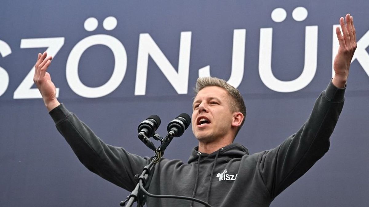 A Tiszának semmi se szent: Magyar Péter győzelme esetén felére csökkenne az egyház támogatása