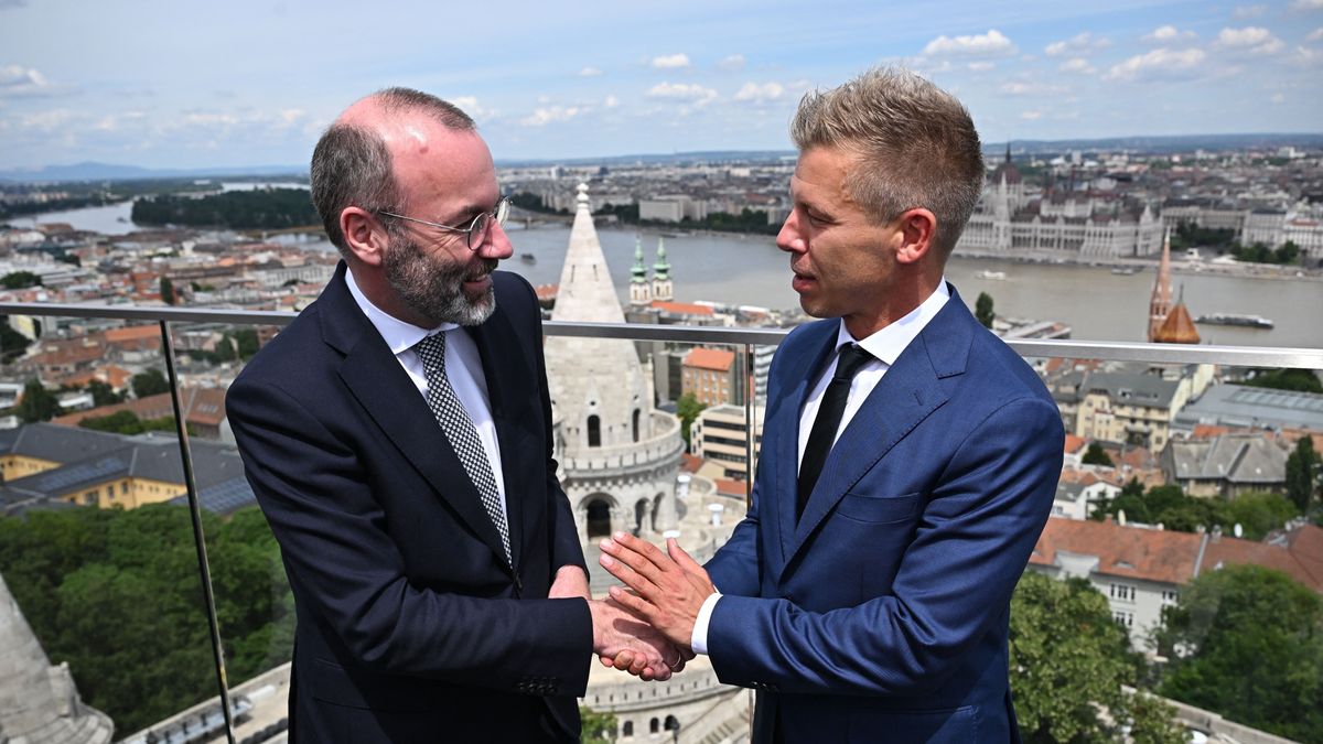 Ukrajna mindenek felett: Magyar Péter pártcsaládja a háború, a hitel és a vétójog felszámolása mellé állt Brüsszelben