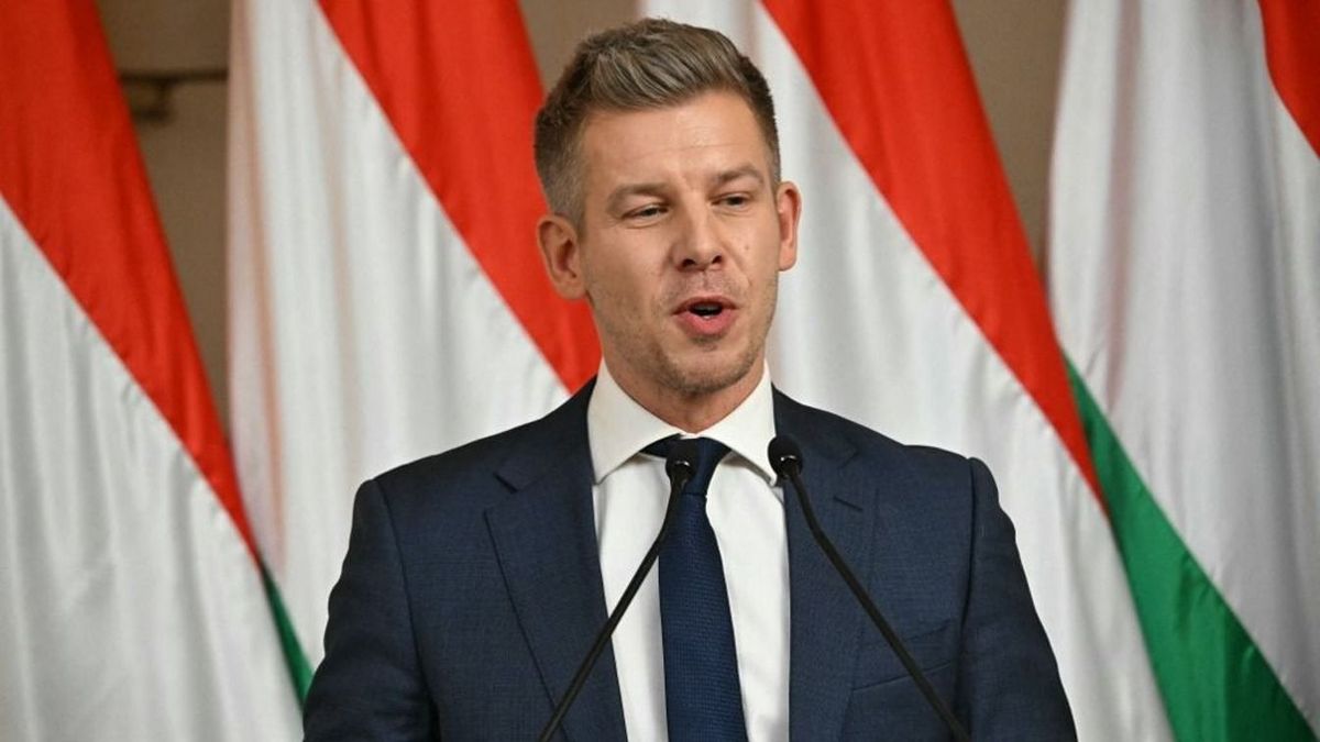 Rendszerváltás után kiesszük a zebrasonkát a Karmelitából!