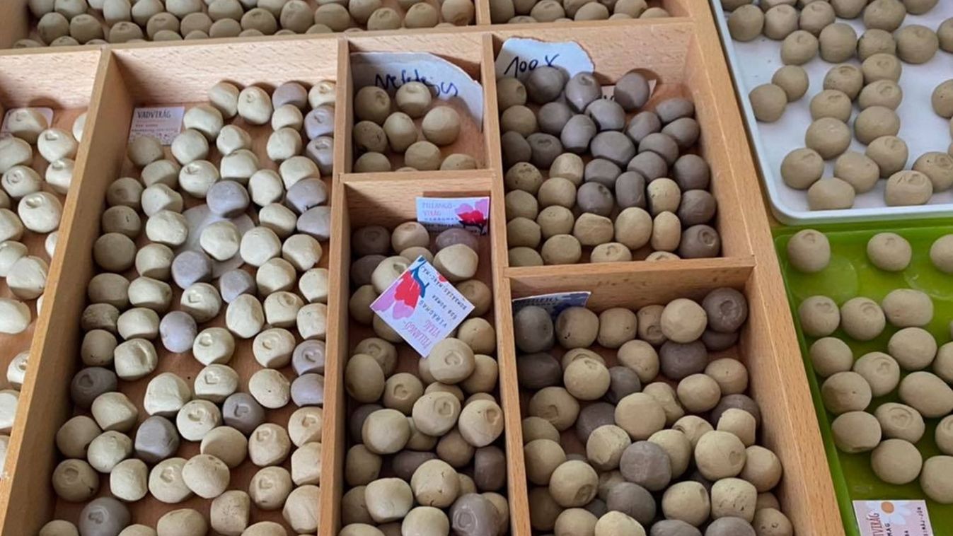 Bombázzunk virágokkal!