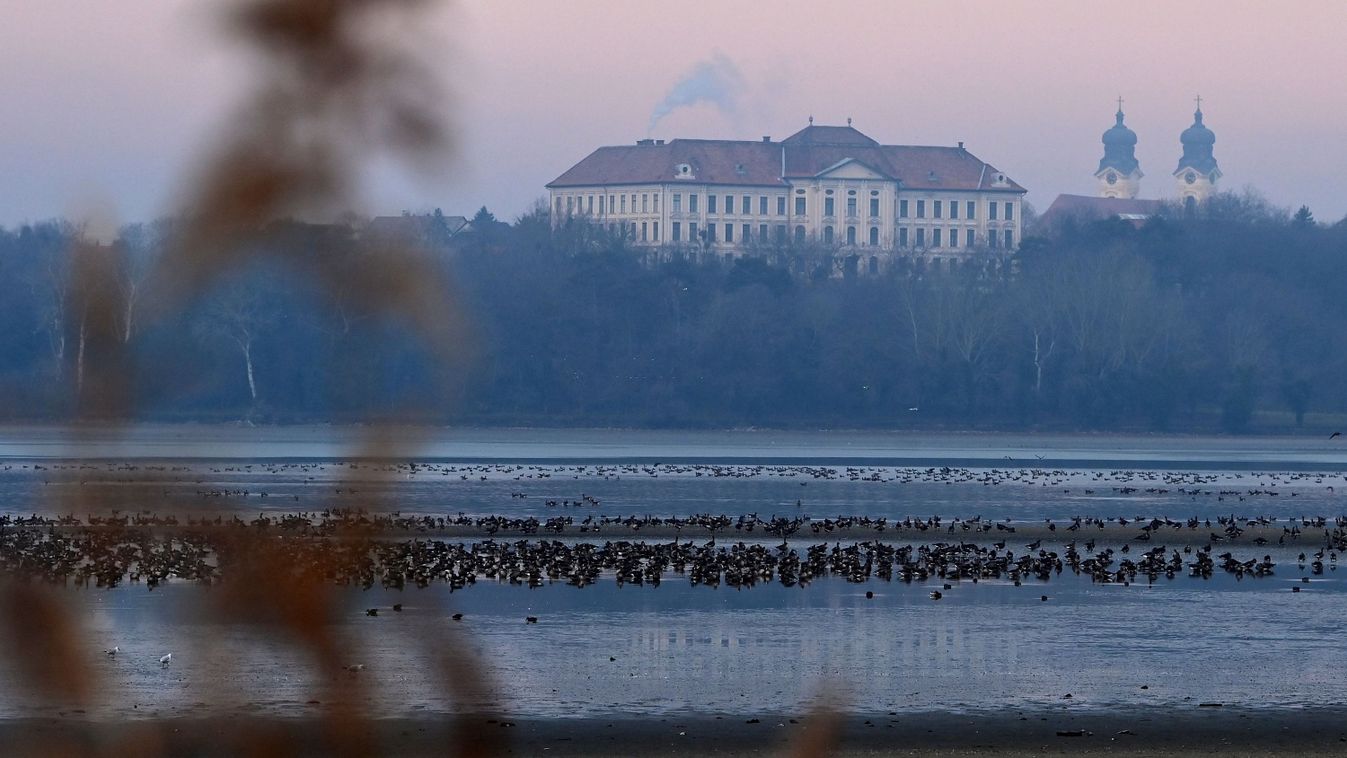 Megújulnak az erdők a tatai Öreg-tó körül