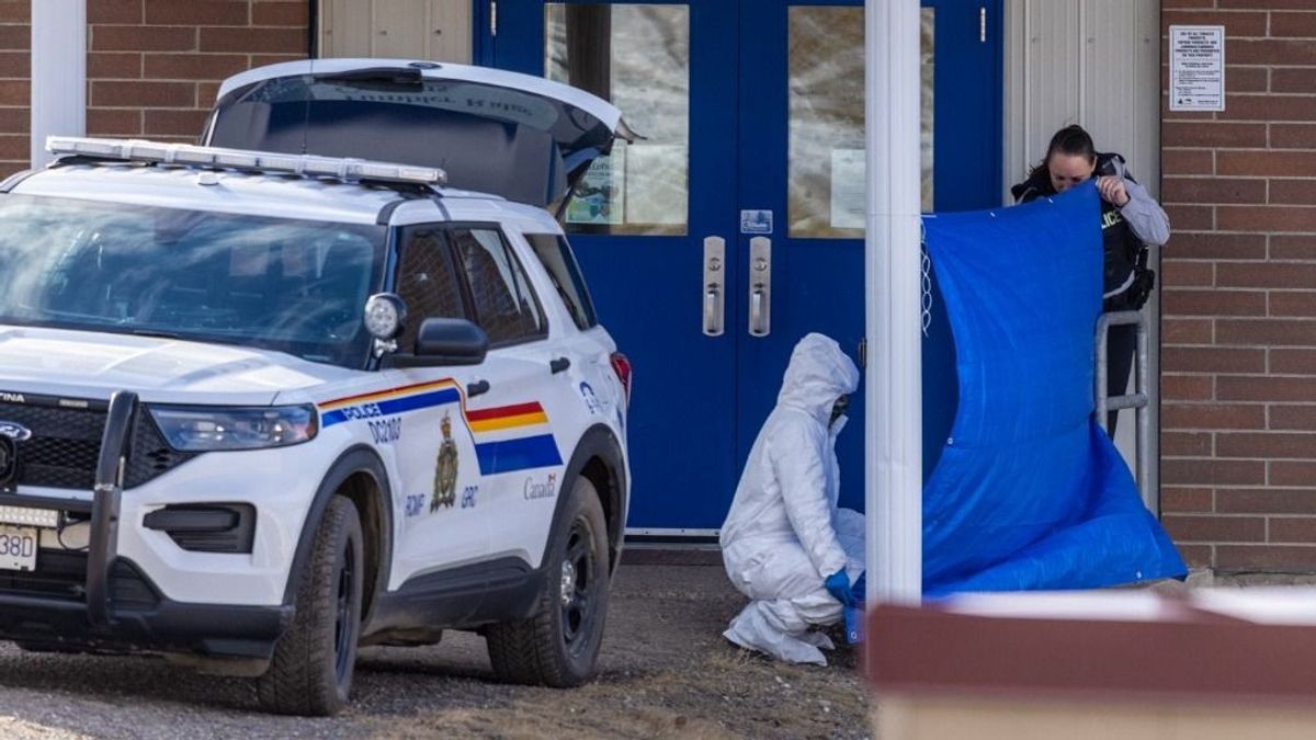 A transznemű elkövető…