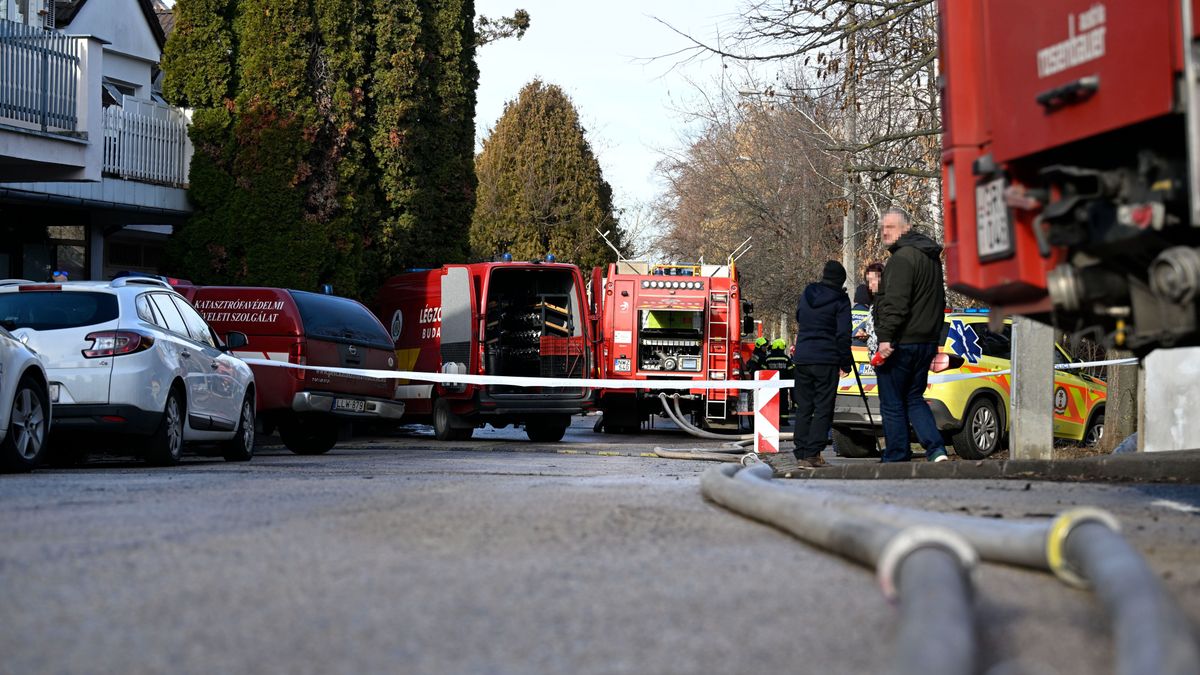 Bejelentést tett a rendőrség: ez okozhatta a halálos kimenetelű tragédiát Budakeszin