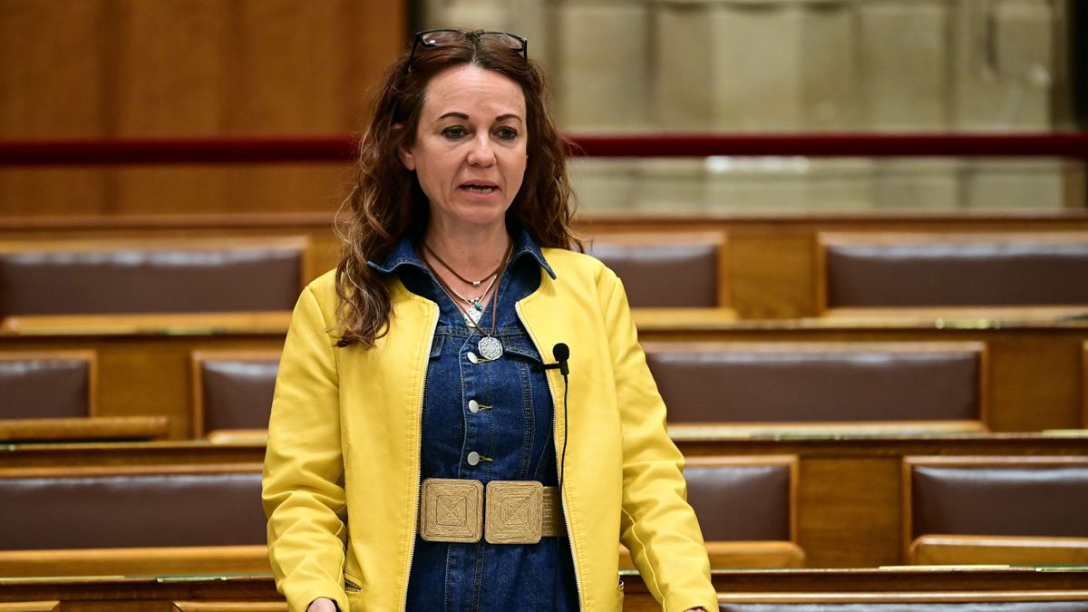 Orbán Viktor még a parlament folyosóján is leiskolázta Kabul Rózsáját