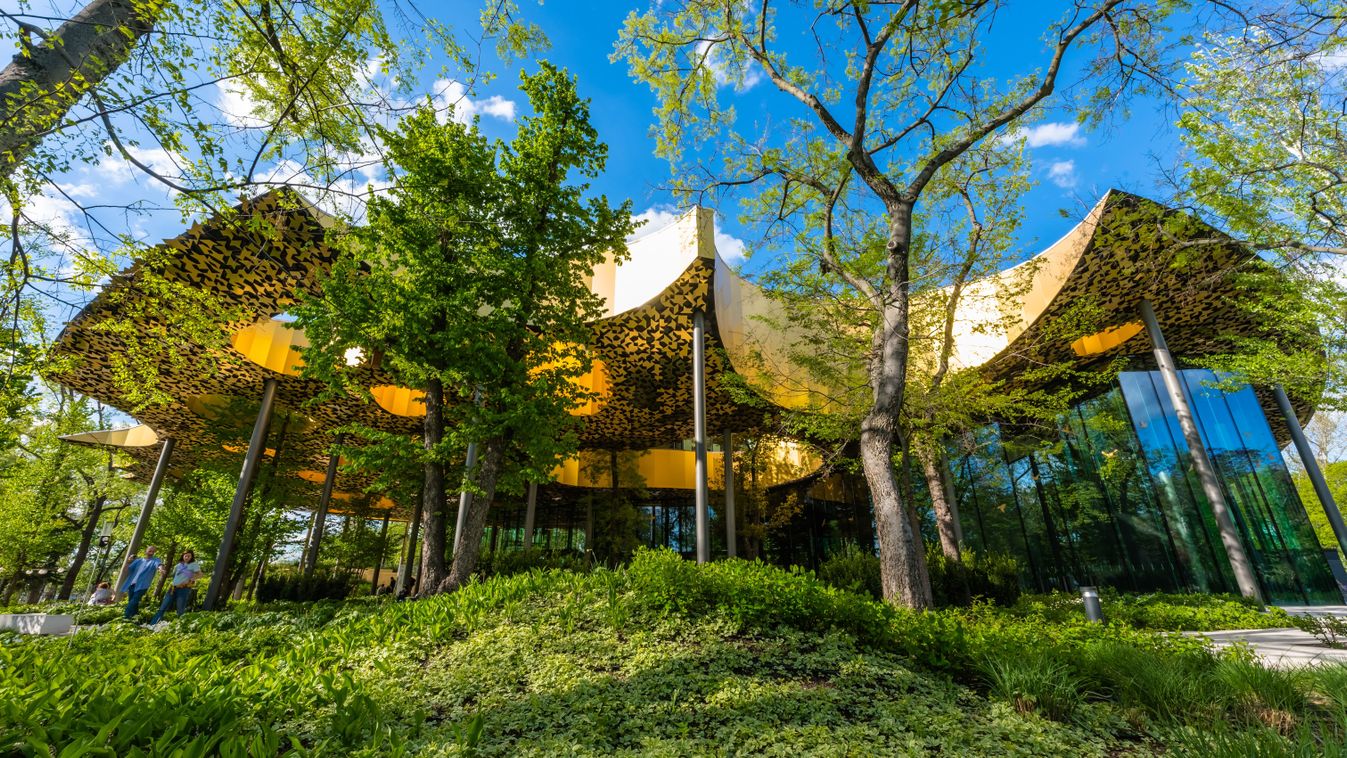 Összművészeti pályázatot hirdet a Magyar Zene Háza