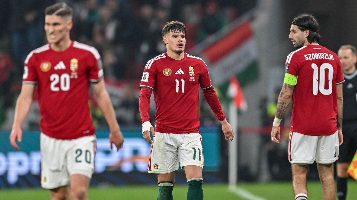 A számok nem a magyarokkal vannak, hanem az ukránokkal