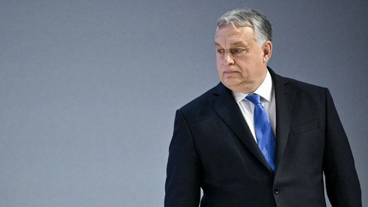 Most néz nagyokat Zelenszkij: Orbán Viktor leszögezte, meddig állította le a kormány az Ukrajnába irányuló dízelszállítást