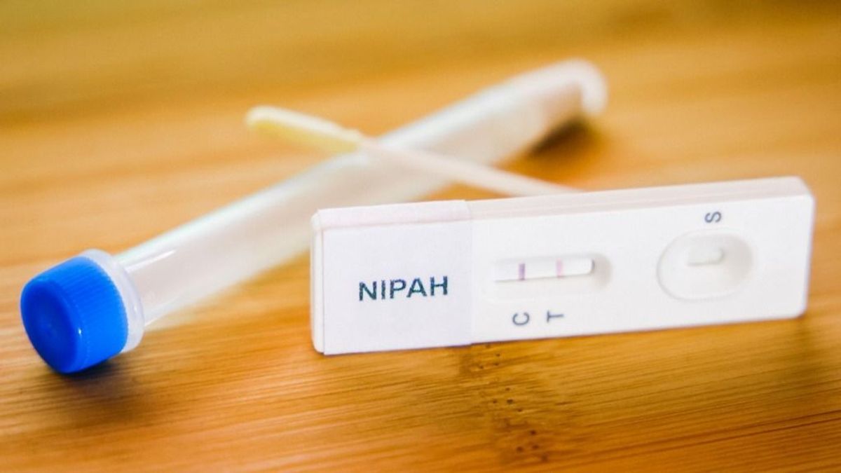 Nipah vírus: kiderült az igazság arról, fenyeget-e új világjárvány