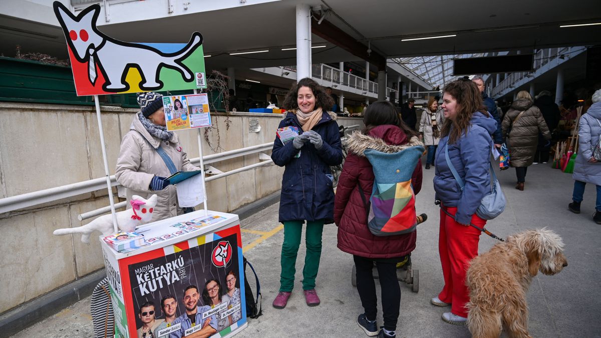 Még tart a „verseny”: a Mi Hazánk, a DK és a Kutyapárt küzd az aláírásokért