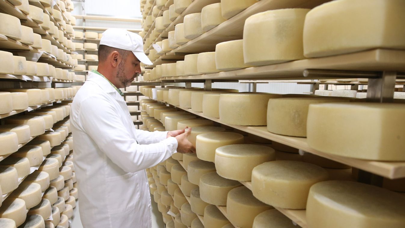 Fénysugár a&nbsp;tejpiacon