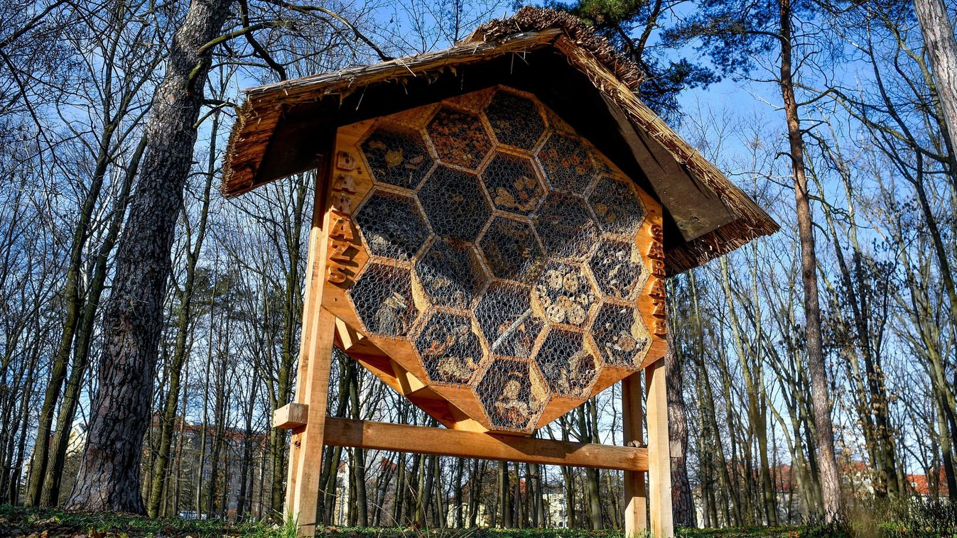 Már készülhetnek a méhecskehotelek