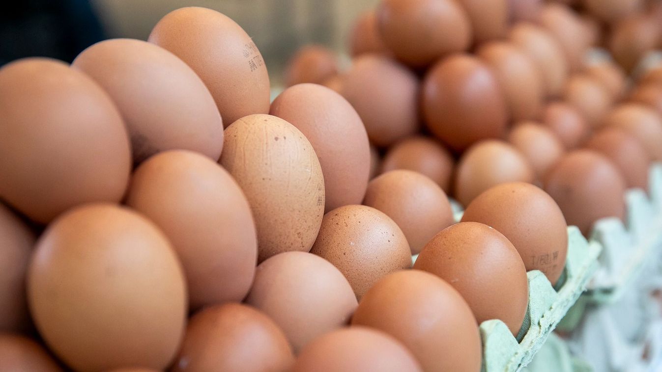 Tojáskáosz a piacon