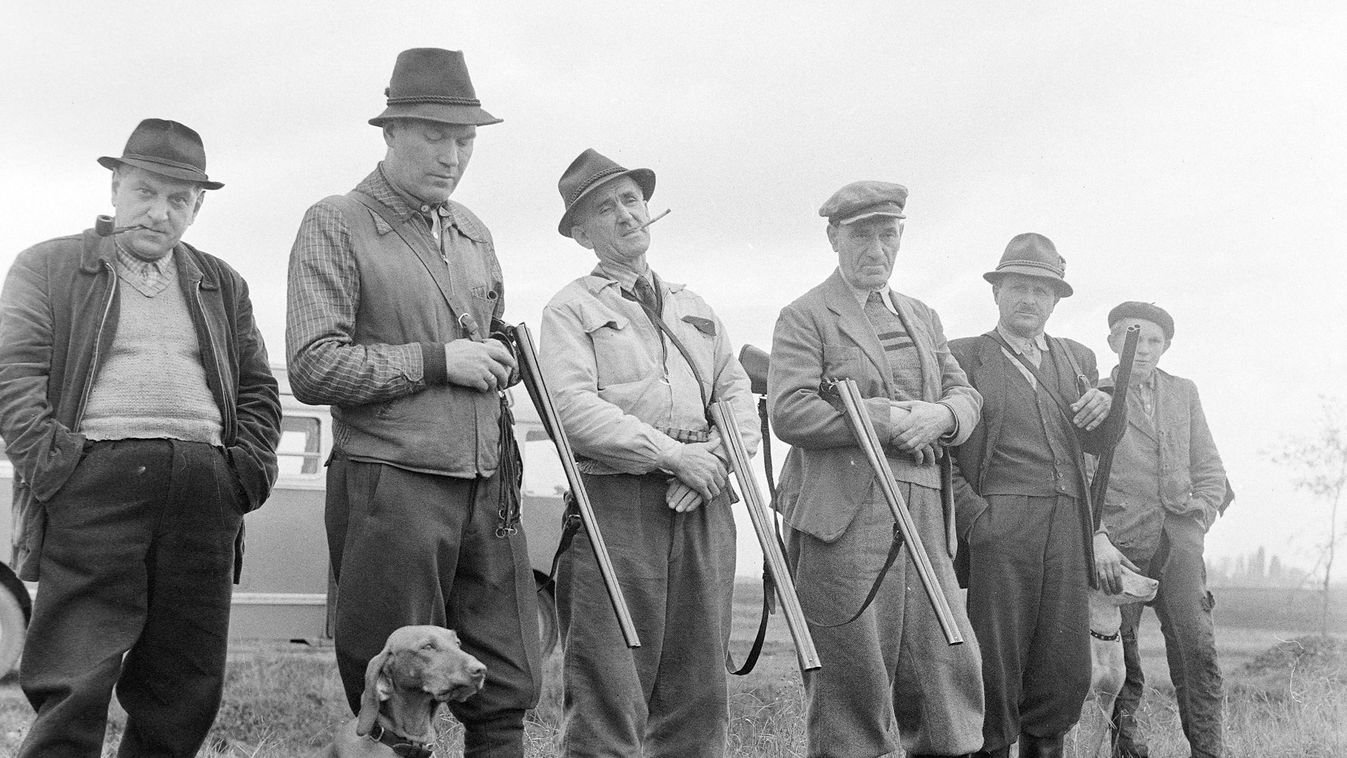 A vadkacsa bosszúja