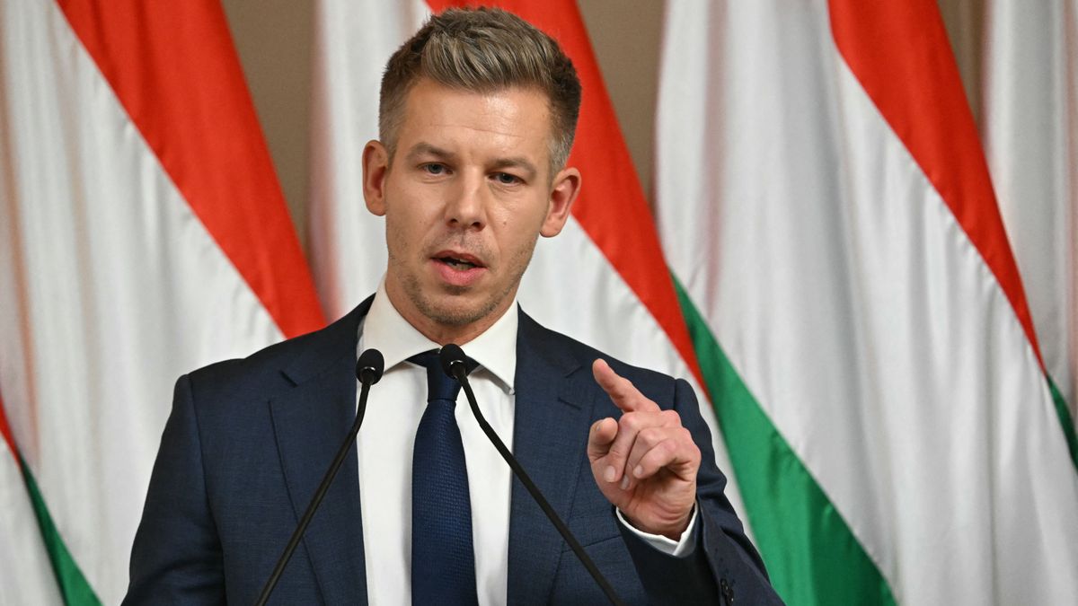 Magyar Péter, TISZA Párt