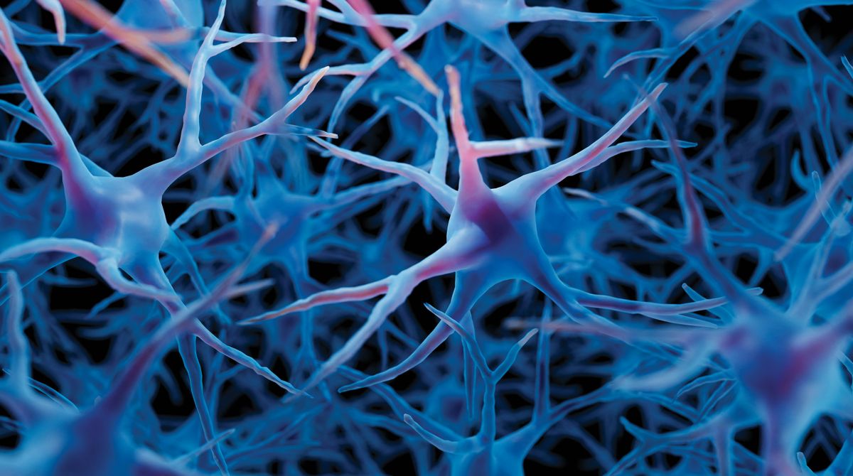 Brain cells, illustration