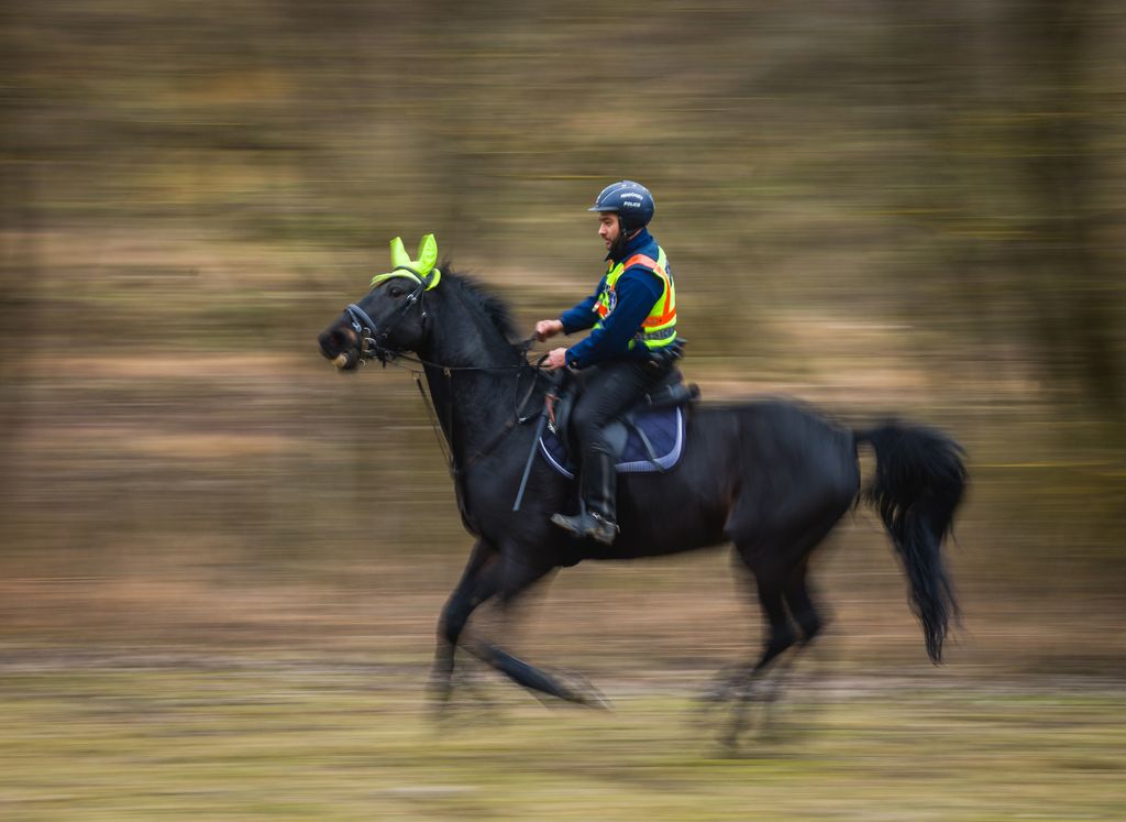 20260210 Sóshartyán
Nógrád vármegyei rendőrfőkapitányság lovas szolgálata
gyakorlat kiképzés lovasrendőrök
Sóshartyáni lőtér

Fotó: Németh András Péter NAP
MW

