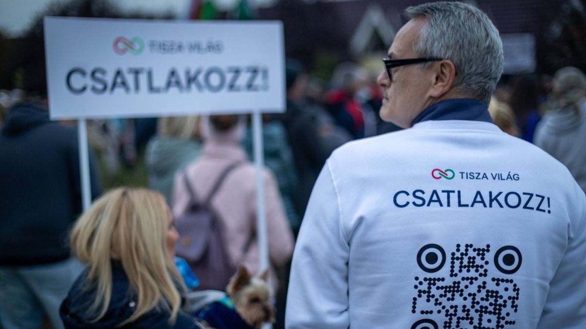 Szerződések, kapcsolati háló, ingatlanok: egy tiszás jelölt ellentmondásos története (VIDEÓ)