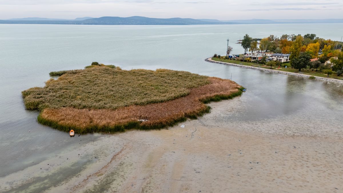 Aggasztó hírek érkeztek a Balatonról: ez a nyár teljesen más lesz, mint eddig