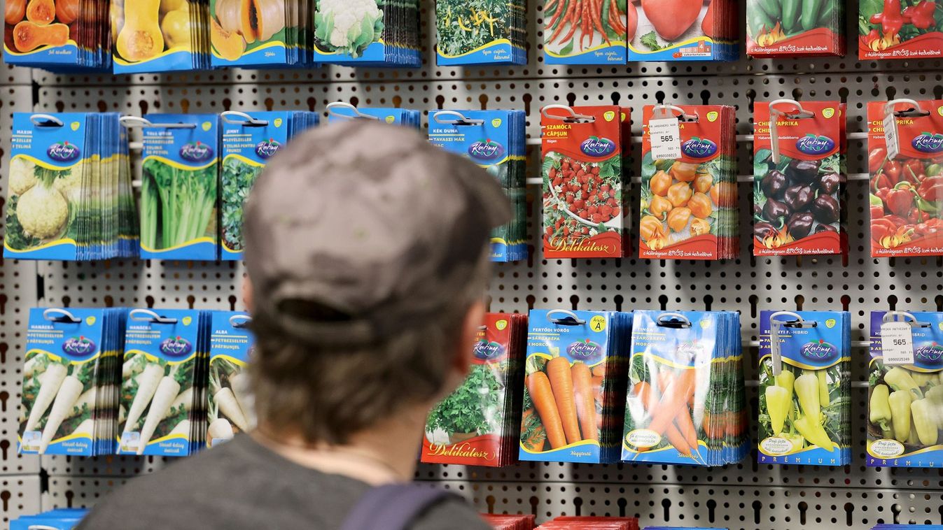 Zsugorodó vetőmagok