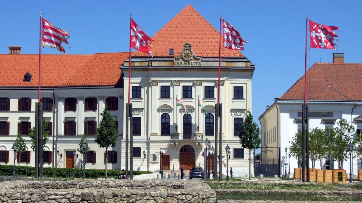 Hipp-hopp: nem várt vendég jelent meg a Karmelitánál (FOTÓ)