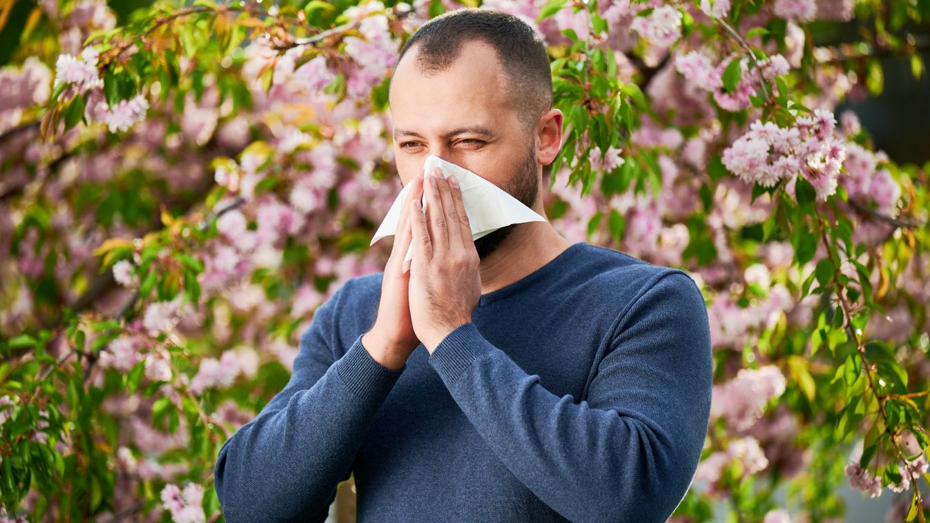 Allergia vagy nátha? Nagy segítség a Semmelweis HELP applikáció
