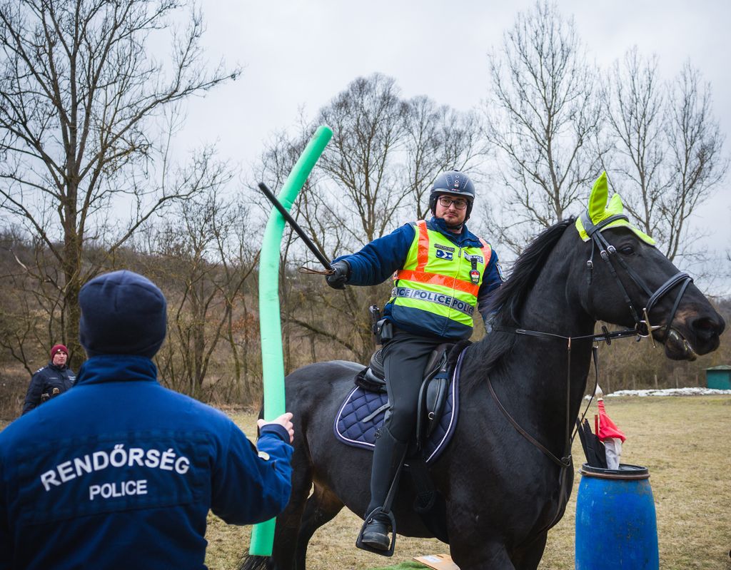 20260210 Sóshartyán
Nógrád vármegyei rendőrfőkapitányság lovas szolgálata
gyakorlat kiképzés lovasrendőrök
Sóshartyáni lőtér

Fotó: Németh András Péter NAP
MW

