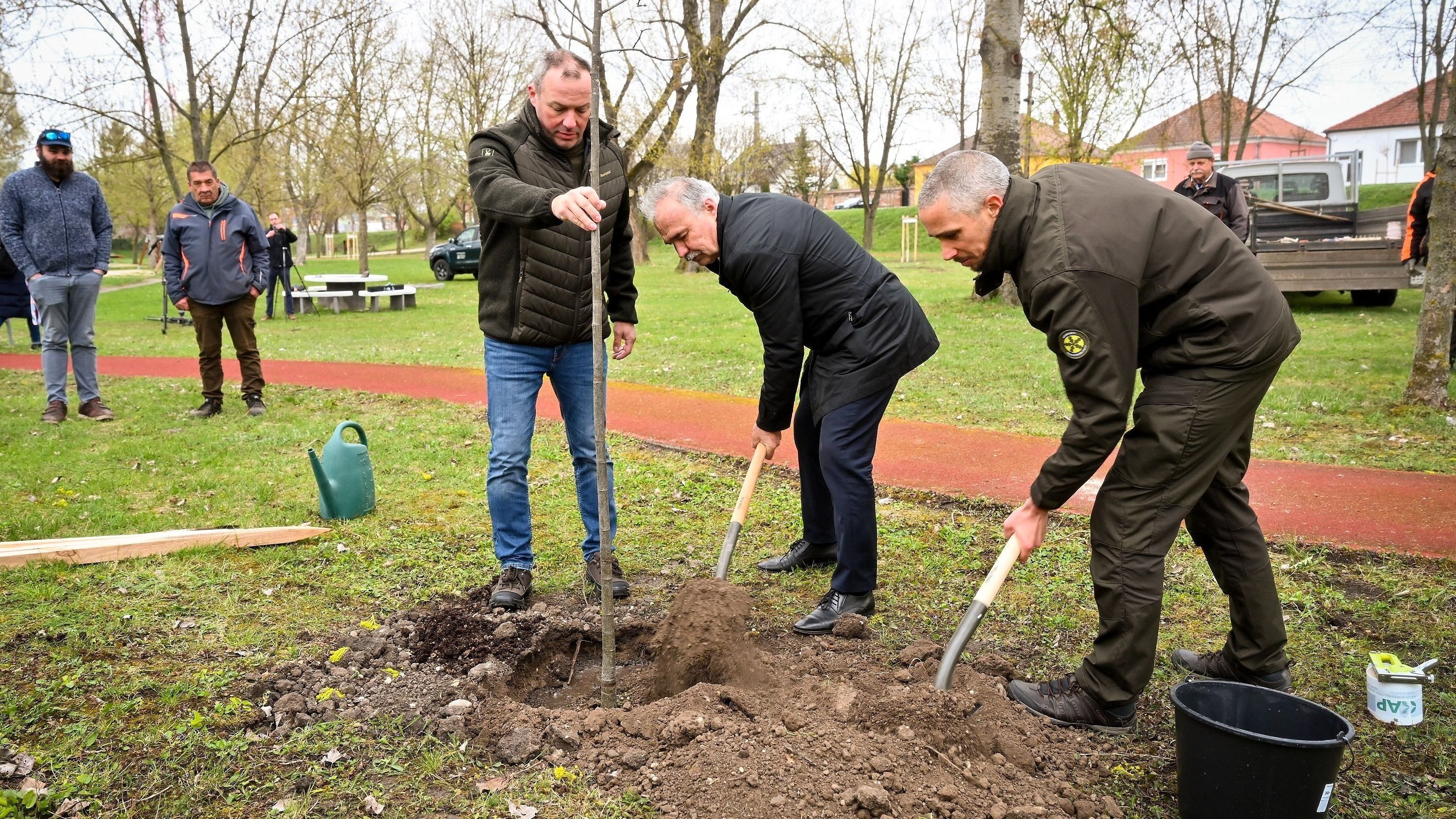 Elindult a településfásítási program tavaszi ültetési időszaka