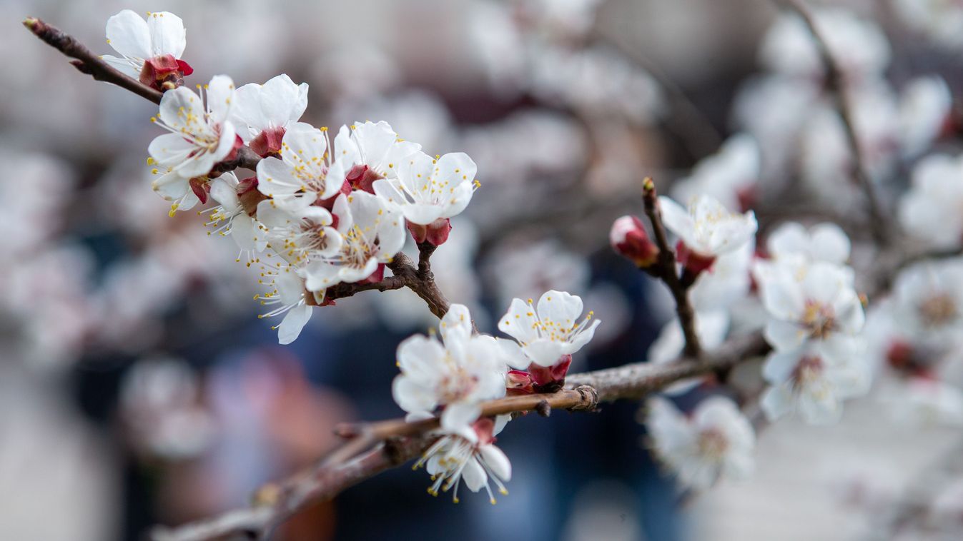 Kritikus tavaszi hetek várnak ránk!