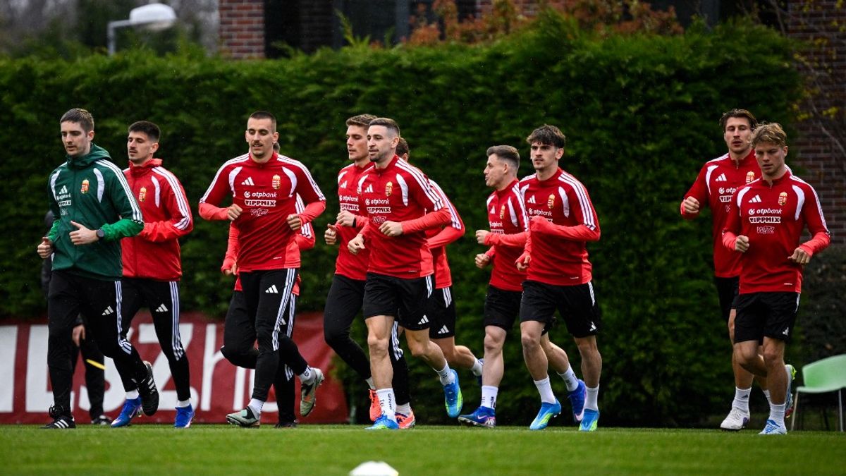 Baljós hírek érkeztek a telki edzőtáborból – két játékos is távozott