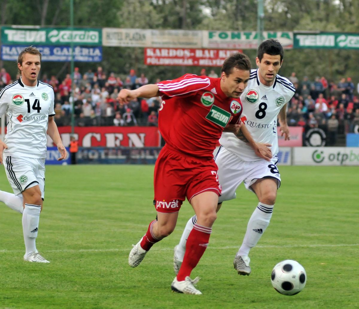 Czvitkovics Péter; Józsi György