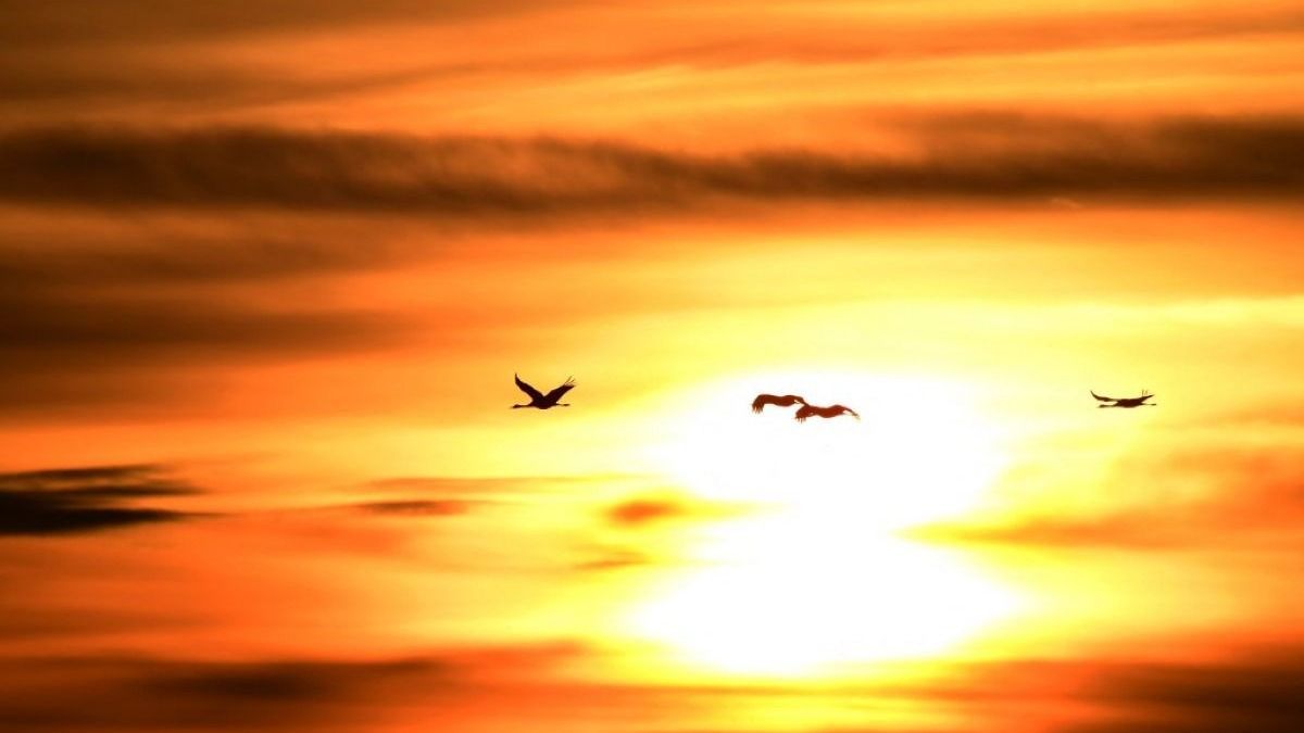 Teljesen megbolondul az időjárás a héten: figyelmeztettek a meteorológusok – kiderült, mire kell nagyon figyelni