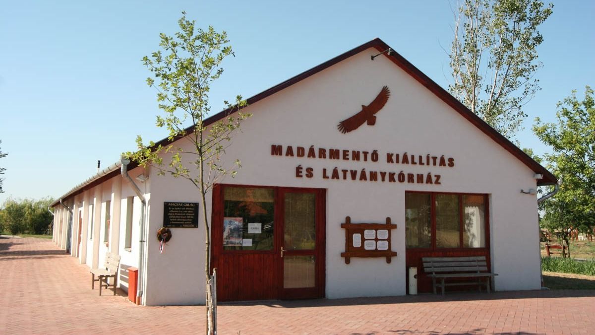 Ugye ön is gyönyörködött már a magasban szárnyaló madarak látványában? (X)