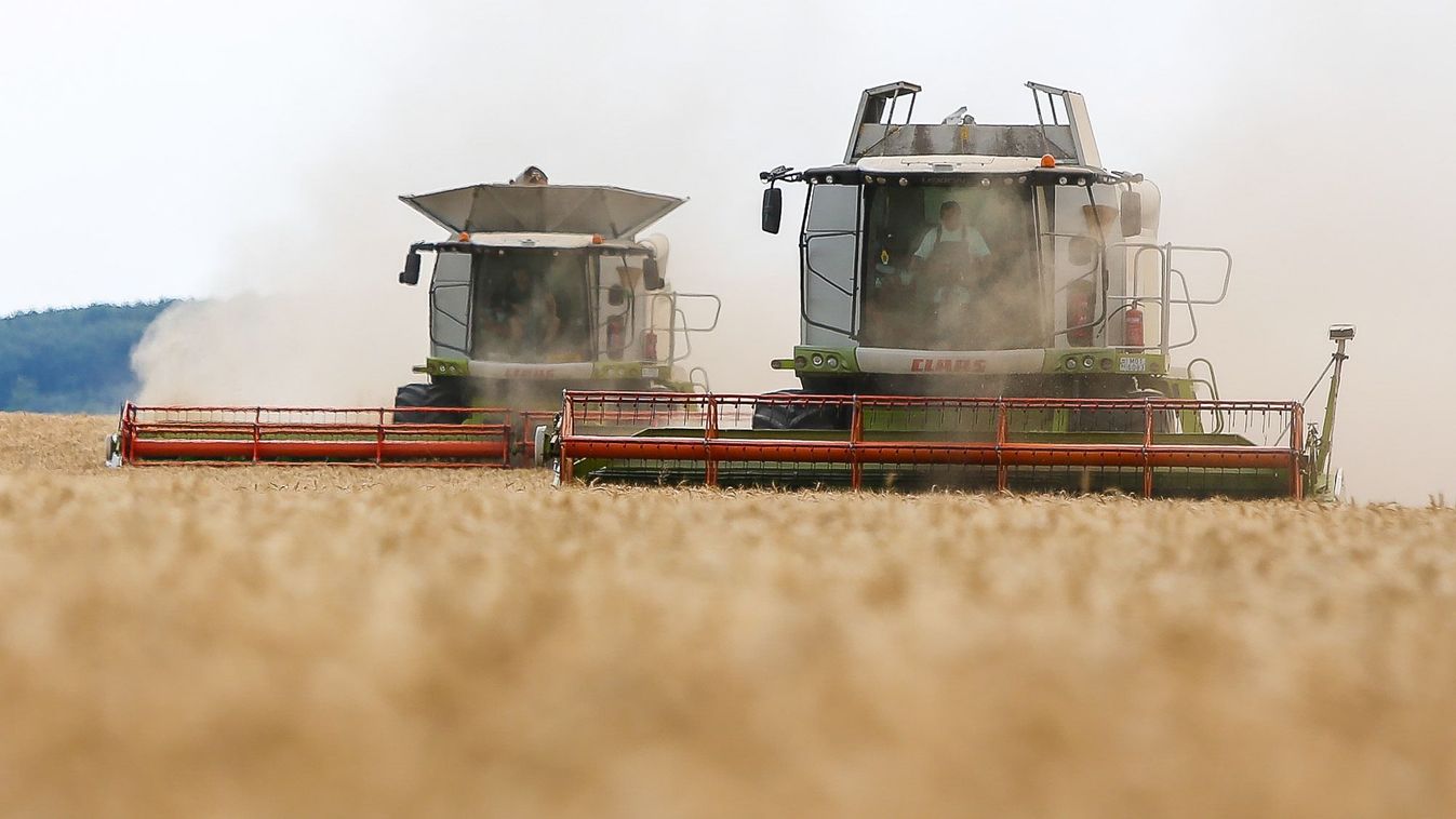 Jó hír a&nbsp;búzáról