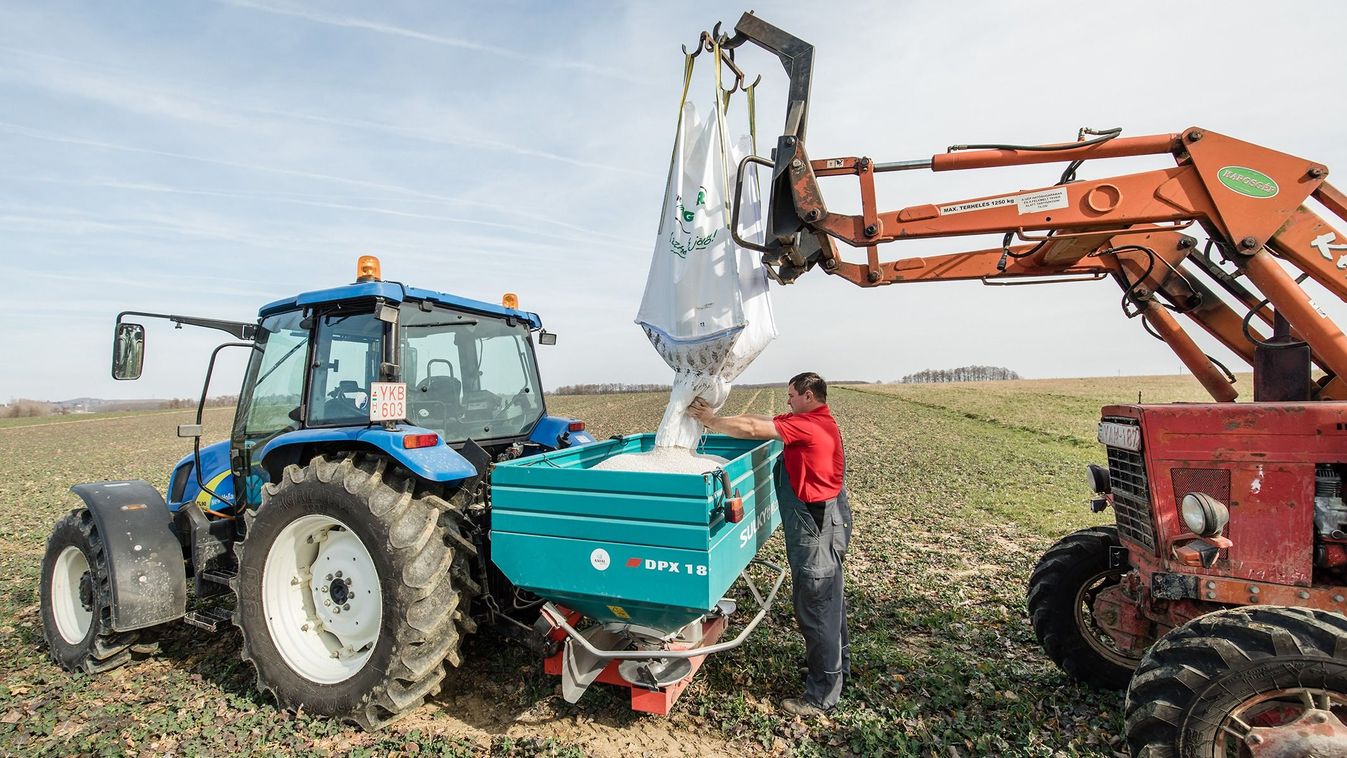 Fejre állt a&nbsp;piac