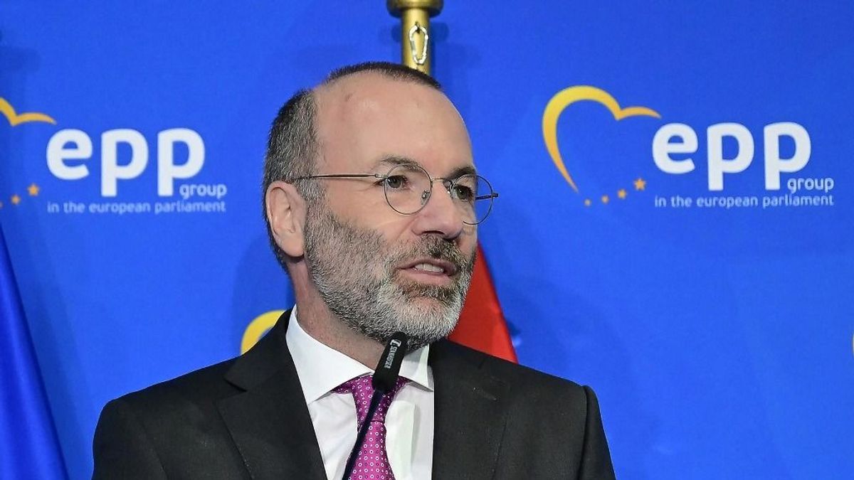 Manfred Weber kerek-perec kimondta: Magyar Péter Ukrajnáért harcol (VIDEÓ)