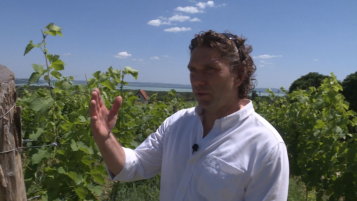 „Ami vele történt, az össze tudja törni az embert” – Hajdu Attila a Mandinernek