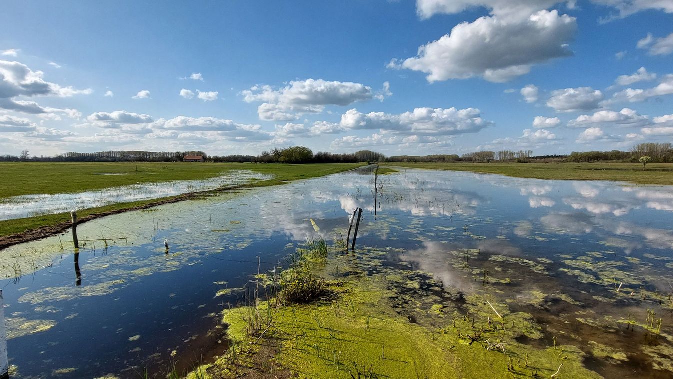 Vízőrzők a&nbsp;száraz pusztán