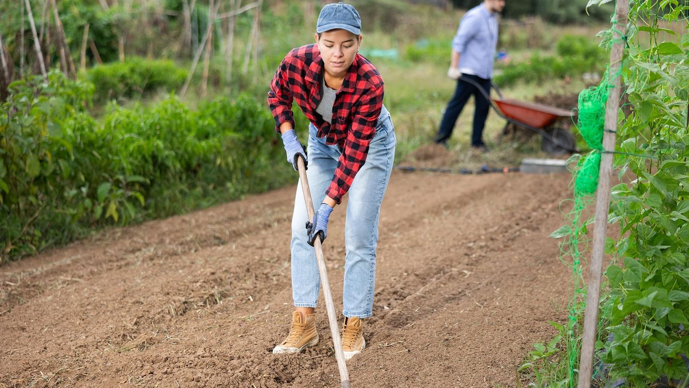 Itt is munka, ott is feladat