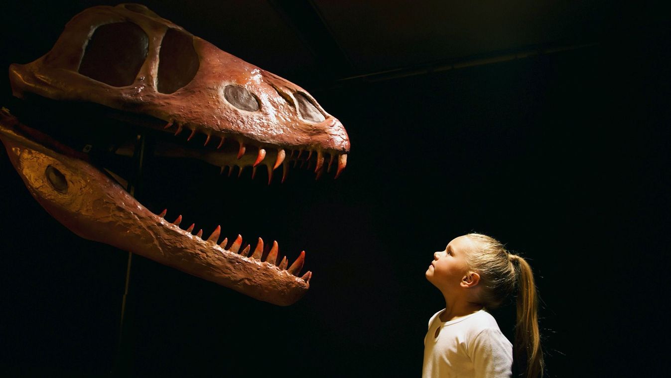 Feltárulnak a Kárpát-medence titkai (Fotó: Illusztráció/Gettyimages)