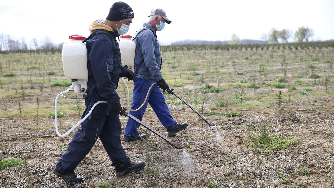Életveszélyes hamis szerek