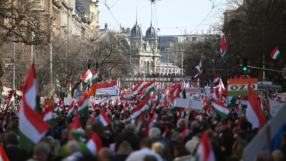 A Mandiner lebuktatott egy liberális EP-képviselőt, aki szerint a Békemenet Orbán Viktor ellen vonult Pécsen