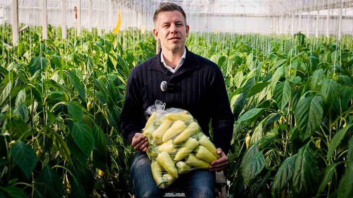 Erre még Magyar Péter is büszke lenne: az Ukrajna által okozott krízisen szórakozott a 24.hu újságírója